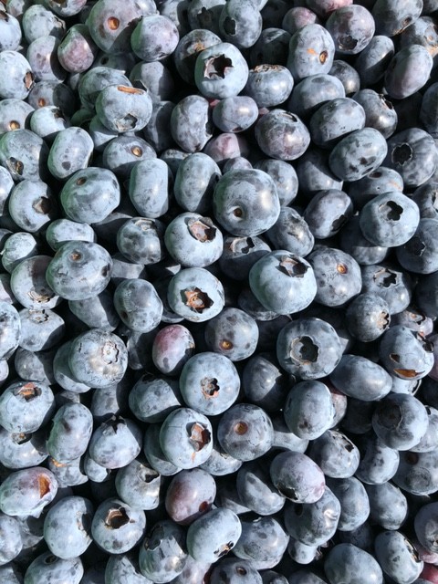 blauwebessen